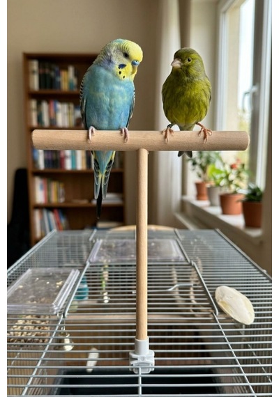 Mivra Pets 2'li Esnek Kuş Tüneği 40 Cm Doğal Jüt