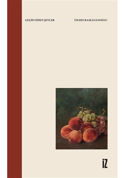 Geçip Giden Şeyler / Yıldız Ramazanoğlu