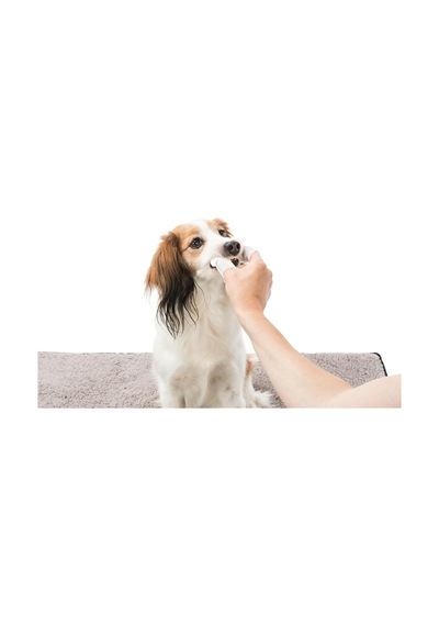 Kedi Köpek Diş Temizleme Mendili
