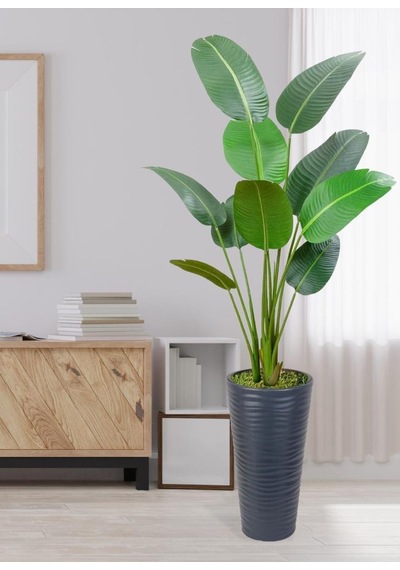 Yapay Ağacı Antrasit 57cm Uzun Kumsal Vazoda Muz Ağacı Yapay Starliçe 195cm 10 Yaprak