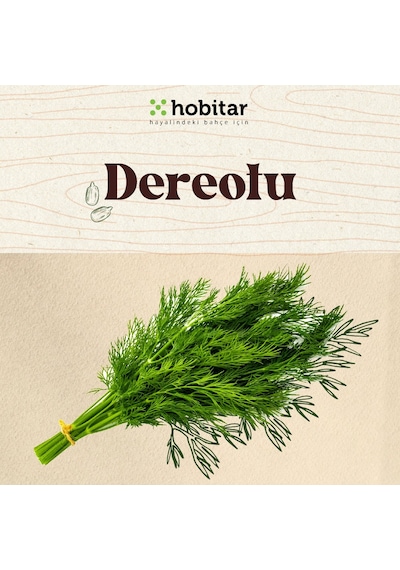 Hobitar Kolay Yetişen Yaze Yeşillikler Sebze Tohumu Paketi - 5 Çeşit Aromatik Tohumu