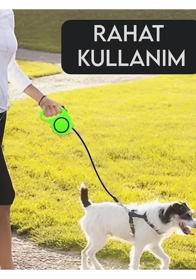 Ankanorm Makaralı Otomatik Köpek Tasması 5 Metre Yeşil