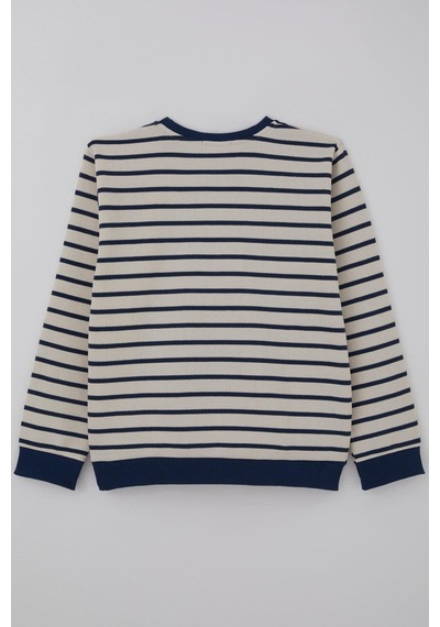 Breeze Erkek Çocuk Sweatshirt Arma Detaylı 4-10 Yaş, Ekru
