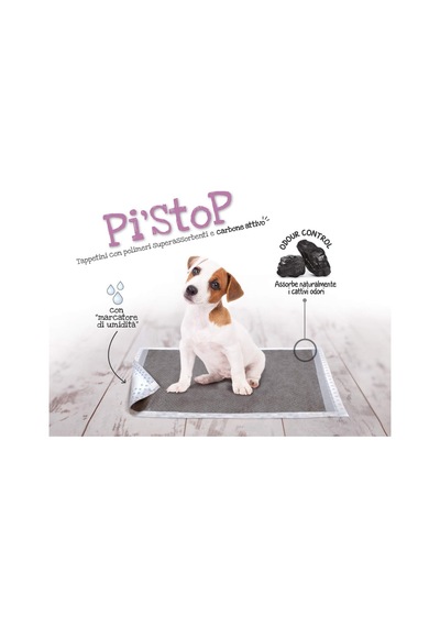 Record Best Friend Pi-stop Çiş Pedi Karbonlu 60cmx90cm 30 Lu Paket