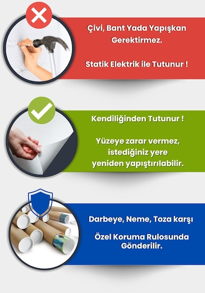 İki Renkli Kedi Poster, Statik Kağıt Premium Baskı Poster, Siyah Beyaz Kedi, Yapay Zeka Tasarım