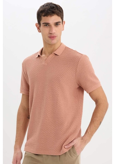 DeFacto Regular Fit Polo Yaka Kısa Kollu Tişört E1215AX25SMBN300