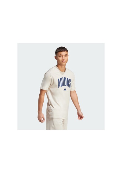 Adidas Collegiate Lineage Grafik Basklı Tişört Wonder Alumina- Wonder Alumina-