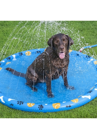 Bestway 52699 Fetchin' Fun Evcil Hayvan İçin Su Oyun Matı