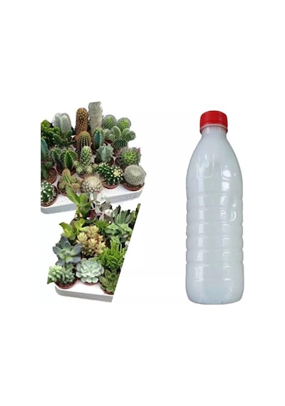 Kaktüs Ve Sukulentler İçin Özel İlaç Karışımı 500 Ml Diğer