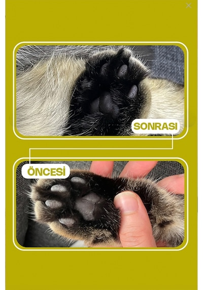 Zeytin Çekirdeğinden Üretilen Doğal Tozsuz Kedi Kumu 7 L
