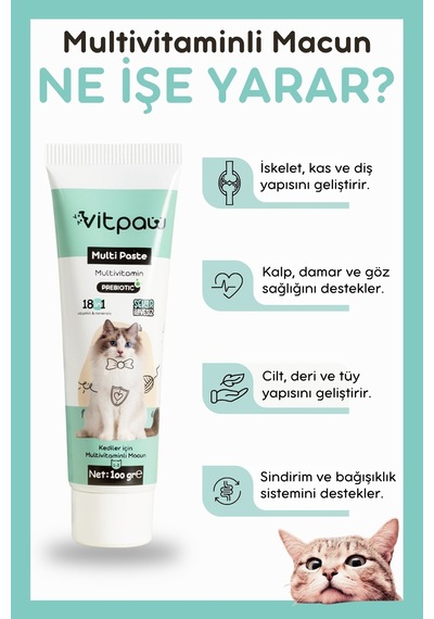 Vitpaw Multi Paste 100 G