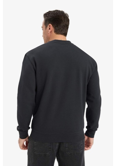 Defacto %100 Pamuk Regular Fit Bisiklet Yaka Sweatshirt E8339ax25auar235 Antrasit