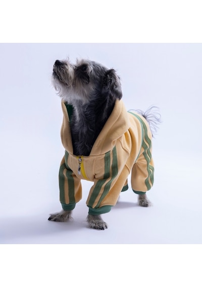 Bej Denver Track Tulum Köpek Tulumu Köpek Kıyafeti Köpek Eşofmanı Kedi Kıyafeti