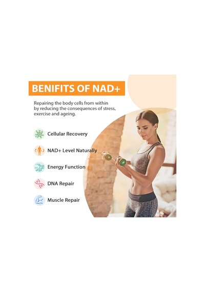 Orgabay Liposomal Nad+ Supplement 500 Mg, High Absorption, Bo...