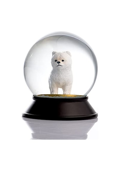 Ve Reçine Altın Patiler Köpek Pomeranian Boo Beyaz Kar Küresi Hediye Genel