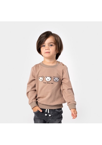 Overdo Kids Erkek Çocuk 1-4 Yaş Aplike Ayıcıklı Sweat - Agri Çok Renkli
