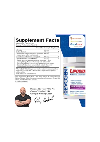 Evogen Lipodice İr Dmae + Yohimbıne Termojenik Appetite Control 156 G