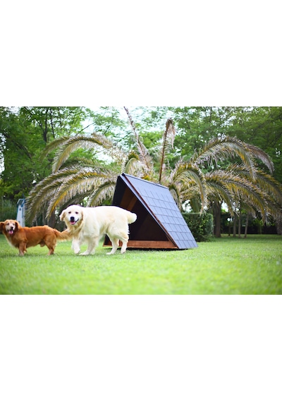 MANDU Ahşap Köpek Kulübesi (A Frame)