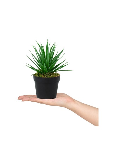 3 Adet Siyah Mini Plastik Saksıda Yapay Aloe Vera Çiçeği