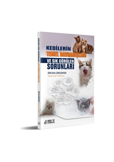 Kedilerin Temel Davranışları Ve Sık Görülen Sorunlar