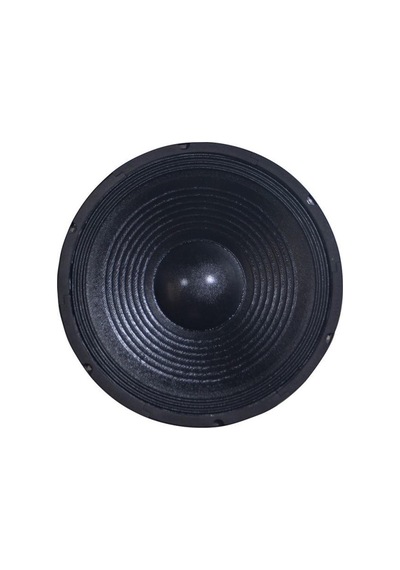 Westa Wp-1245 12'' 300 Watt Çıplak Hoparlör