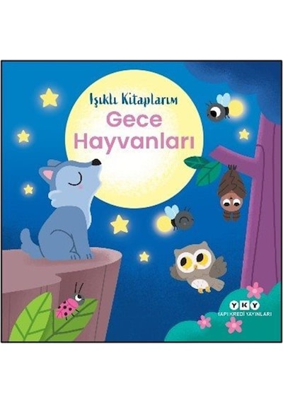 Işıklı Kitaplarım: Gece Hayvanları