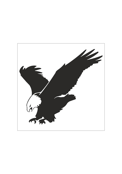 Kartal Folyo Sticker Derstv750 20cm Uzunluk Siyah