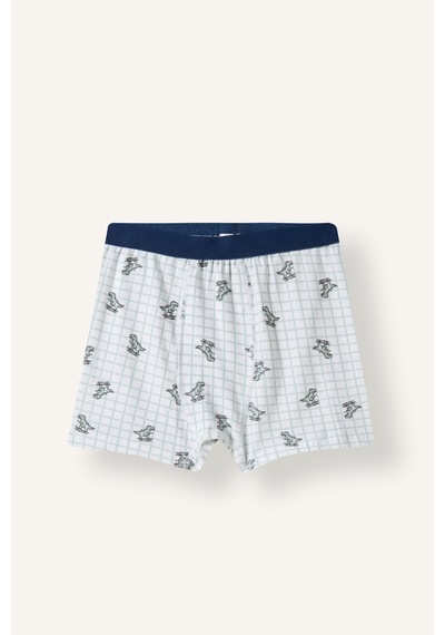 Defacto Dinozor Baskılı Penye 3lü Boxer Erkek Çocuk I4097a826auwt34 Beyaz-wt34