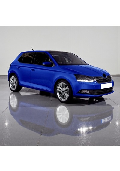 Skoda Fabia 3 2015-2021 Sağ Arka Kapı Kolu İç Braketi 5n0839885h