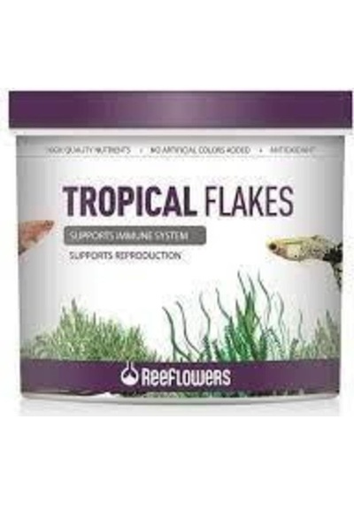 Tropical Flakes Pul Balık Yemi 100 Gram Paket