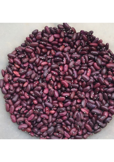 Yerli Tokat Kızılı Sırık Fasulye Tohumu 100 GR N114795