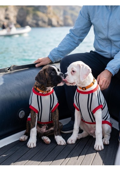 Yacht Club Marin Çizgili Orta Ve Büyük Irk Köpek Tişörtü Lacivert Kırmızı Yazlık Köpek Kıyafeti