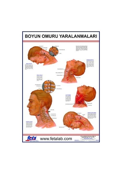 Baş ve Boyun Yaralanmaları Eğitim Plakası