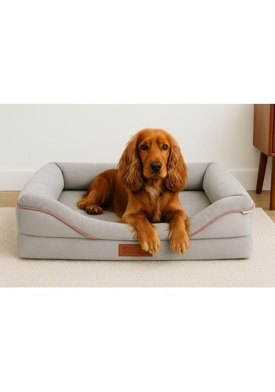 Bolster Üst Kalite Köpek Yatağı 6,5 Ve 10 Cm Süngerli Kılıflı Sıvı Geçirmez Alezli 2 Fermuarlı