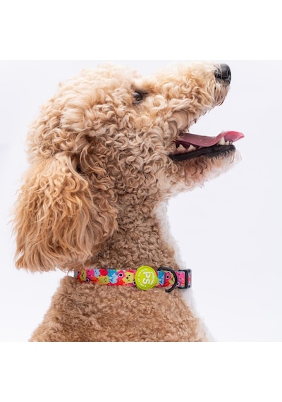 Monsters Canavar Desenli Köpek Boyun Tasması Ayarlanabilir Köpek Tasması Çok Renkli
