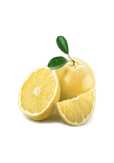 Tüplü Aşılı Yarı Bodur Marsh Greyfurt Fidanı