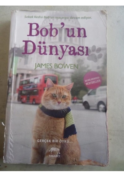 Bob'un Dünyası/james Bowen