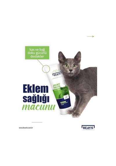 Kolajen Ve Glukozamin İçeren Eklem Sağlığı Destekleyici Kedi Macunu 85 Ml