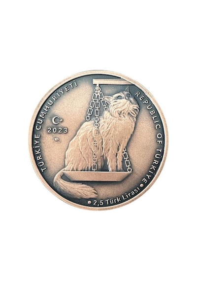 Agakulche Nasreddin Hoca Bronz Sikke Coin