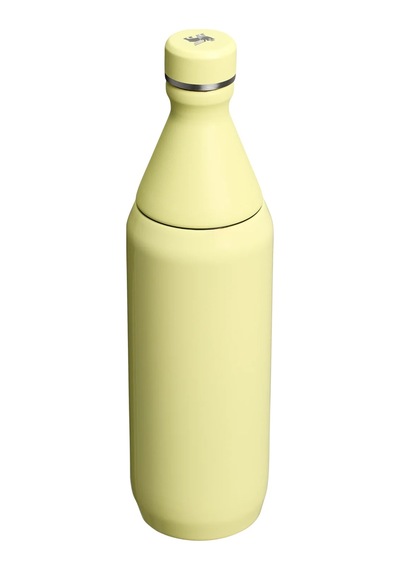 Stanley The All Day Slım Su Şışesı 0.6l 10-12069-119 Renkli