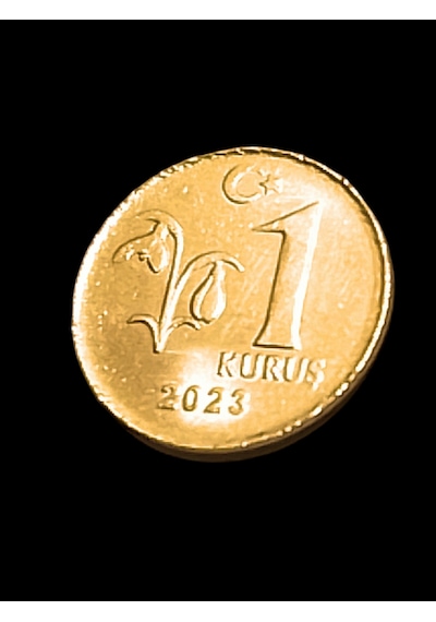 2023 Nadir 1 Kuruş Madenî Para Koleksiyon Para