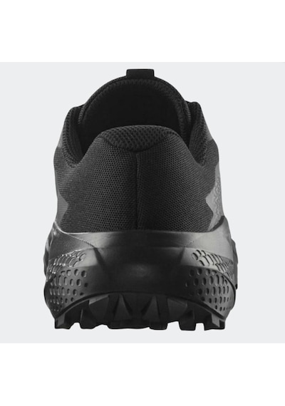Salomon Alphaglıde Erkek Patika Koşusu Ayakkabısı L47948300 L47948300 Siy Siyah