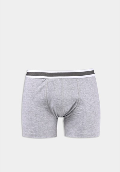 Colin's Colins Modern Fit Düz Erkek Gri Boxer Cl1079980 Q1.v2 Mga Gri Melanj