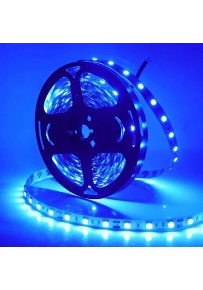 1 Adet 5 Metre Noas Yl40 4003 İç Mekan 60 Ledli Şerit Led 12v Mavi Işık Diğer