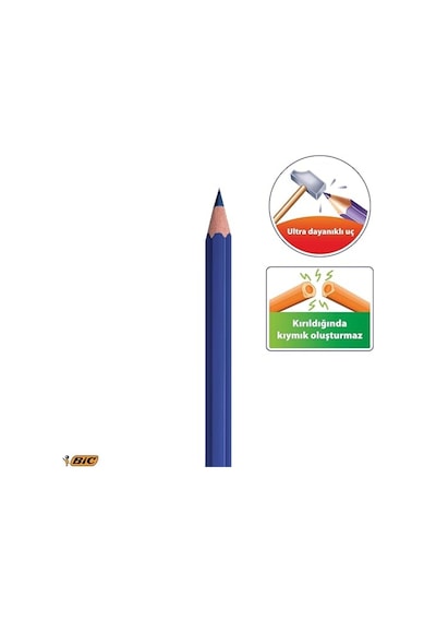 Bıc Evolution Kuru Boya Kalemi Seti, 12+1 Renk, Metal Tüp, Dayanıklı Ve Canlı Renkler Çok Renkli