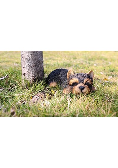 Hi- 87710-m Yorkshire Terrier Köpek Uyuyan Evcil Hayvan Dostları Heykeli Siyah Diğer