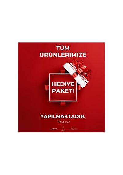 Reward Otomatik Mekanizmalı Premium Erkek Kol Saati 5 Atm Suya Dayanıklı 2 Yıl Garantili Rw.314016.s Gri