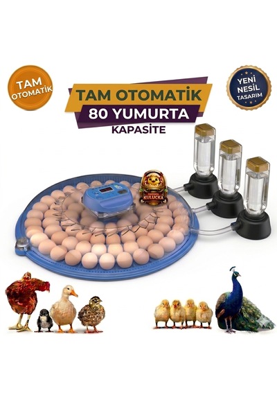 80 Yumurta Kapasiteli Tam Otomatik Kuluçka Makinesi