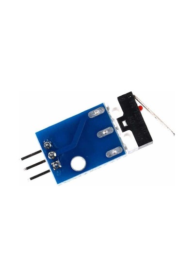 Robotistan 3B Yazıcı Limit Switch'I