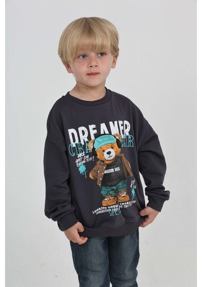 Toontoy Kids Toontoy Erkek Çocuk Dreamer Ayı Baskılı Sweatshirt Füme